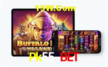 Apostas de Tênis Pk55 Bet